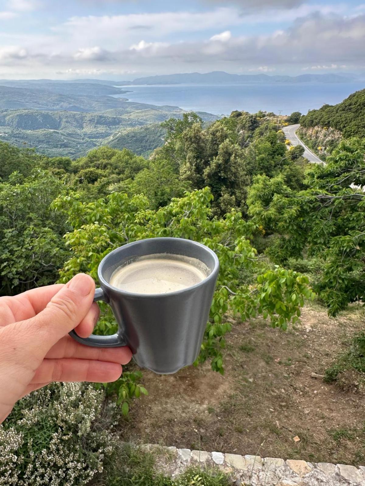 Rastoni Pelion Hotel Vizitsa Bagian luar foto