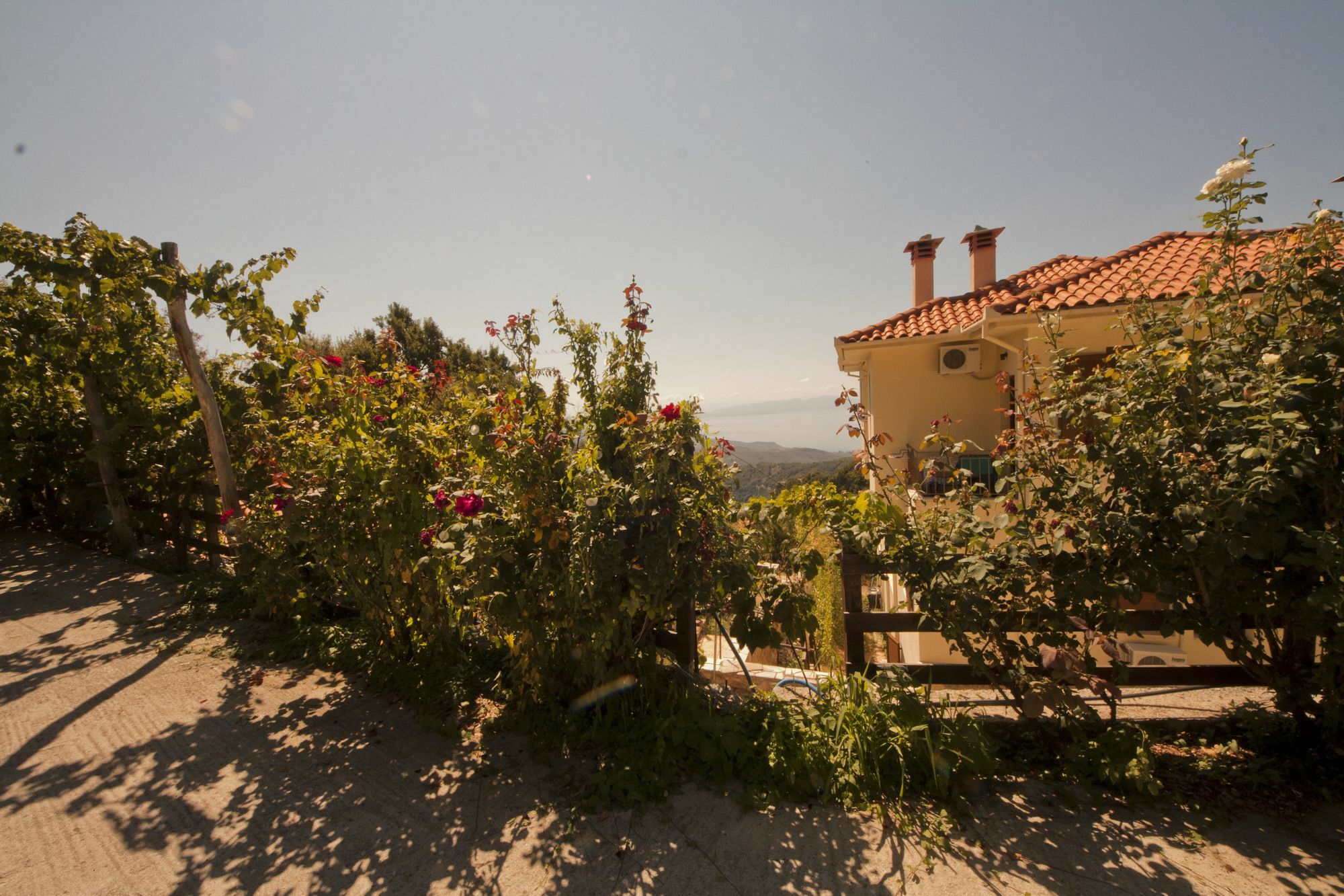 Rastoni Pelion Hotel Vizitsa Bagian luar foto